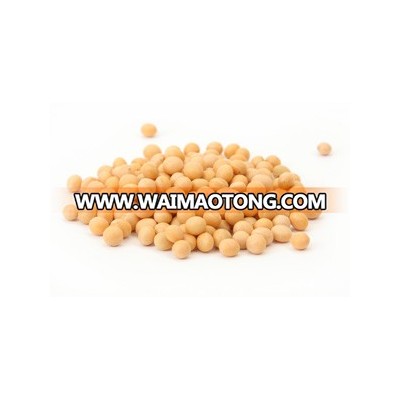 soybean soa ban non gmo Dried soybeans natural dried soybeans