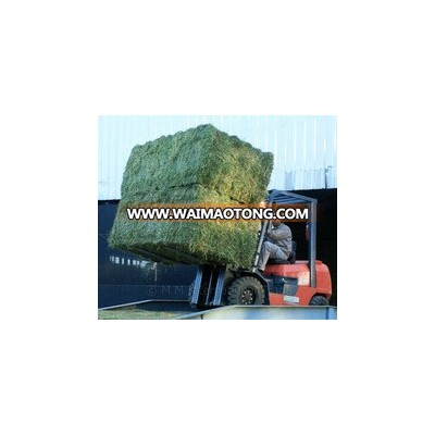 GRADE A PRIMIUM GREEN ALFALFA HAY