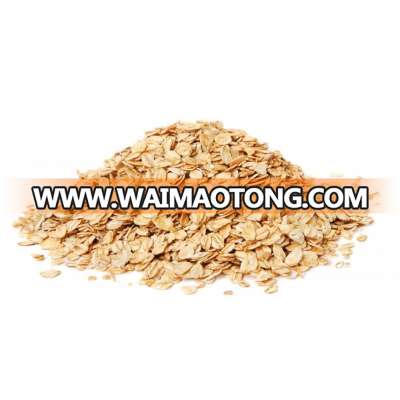 oat grain Oats/Hulled Oats