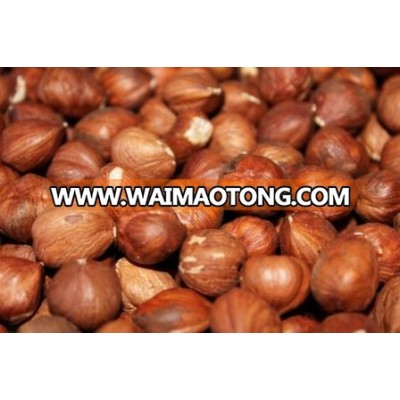 Hazelnuts Organic For Sale