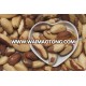 Raw brazil nuts / Brazil nuts Thailand / Organic Brazil Nuts