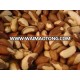 Brazil Nuts | Cashew Nuts |Apricot | Betel Nuts