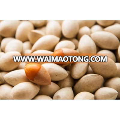 Dried Ginkgo Nuts for sale