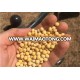 Soybean Soa Ban Non Gmo Dried Soybeans Natural Dried Soybeans