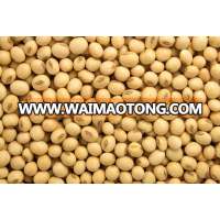 Quality Soybeans non-GMO