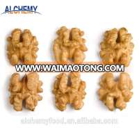 walnut kernel ukraine