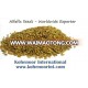 Alfalfa Seeds Topquality Prompt Shipment