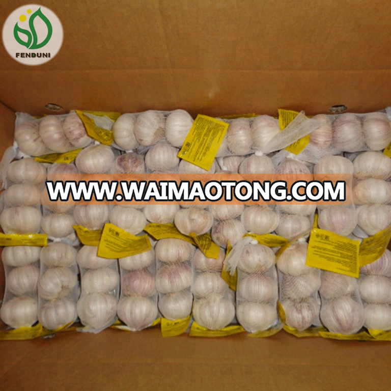 2018'' Chinese Fresh New Crop Garlic for hot sale!